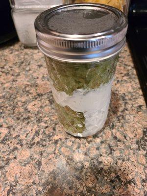 10 oz. Mason Jar-Key Lime