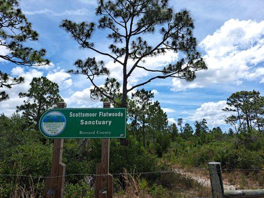 Scottsmoor Flatwoods Sanctuary