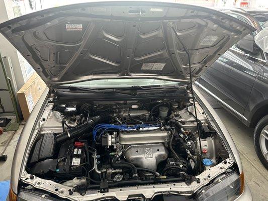 Engine Bay