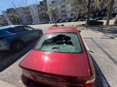 Destroyed car from arrow exterminators gainesville fl