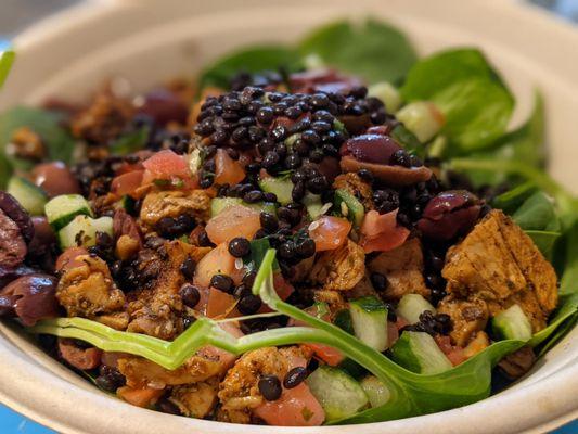 Bowl of Chicken on Spinach topped with hummus, lentils, tomatoes, cucumbers, and olives