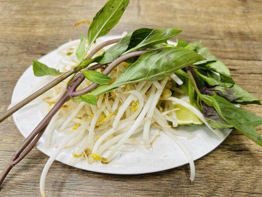 9/30/24 Pho add ins: beans sprouts basil, lime, jalapeño slices