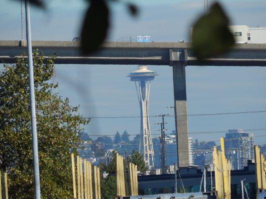 I spy the West Seattle Bridge and the Space Needle through the trees.