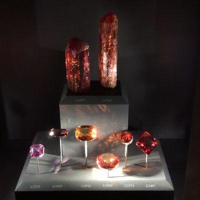 Topaz at the natural history in Washington, DC