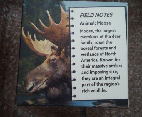 Moose facts