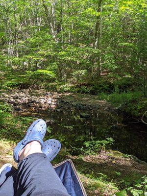 Morning breakfast overlooking the creek.