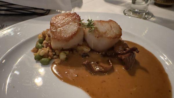 Scallops