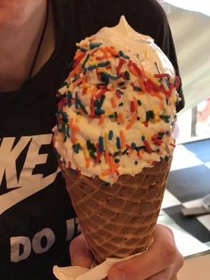 Massive waffle cone. Paid an extra dollar for sprinkles, slightly disappointed with the sparsely sprinkles top