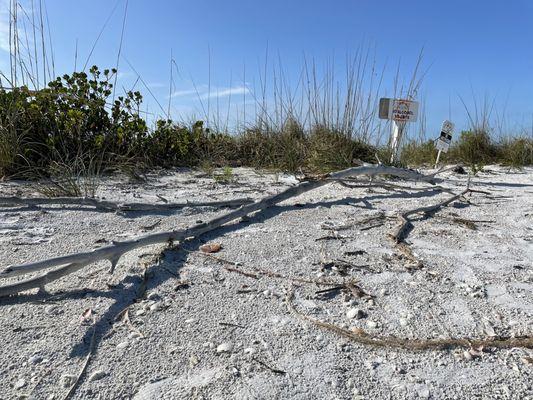 A lot of the preserve is protected area that is prohibited to access.