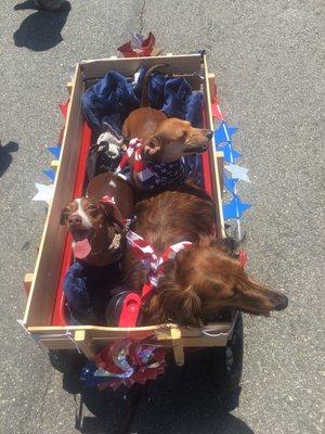 Pups love this parade!