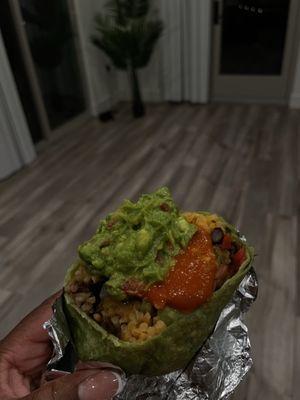 Plant Based Burrito