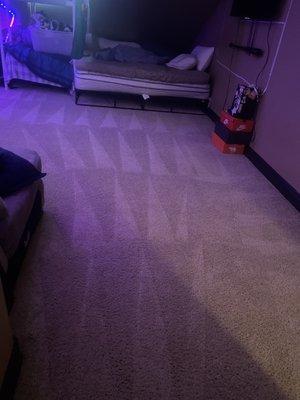 Carpet Cleaning results