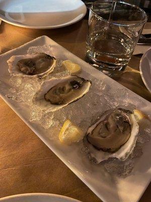 Oysters