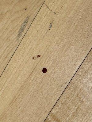 Blood on the floor. This has been there for months.