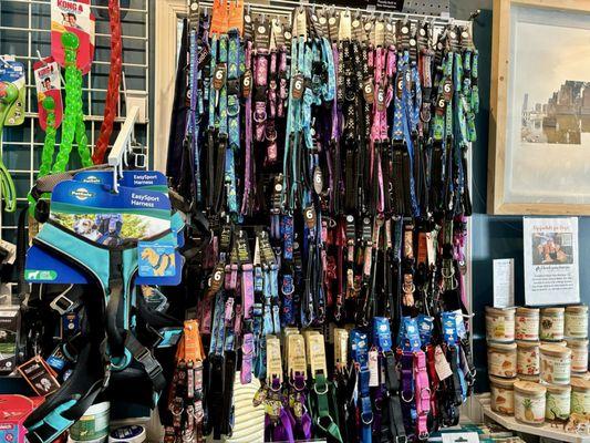 Lupine Collars, Leashes, Harnesses