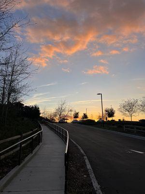 Sunset  in the park