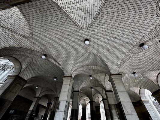 The famed Guastavino Tiles! This beautiful but  now obsolete vaulted arch technique from the late 19th century.