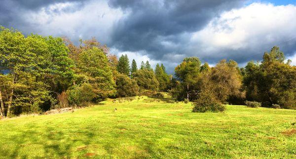 Future building site for Red Poets winery and tasting room.  This ranch is located in Fair Play, CA.  Watch for updates on construction.