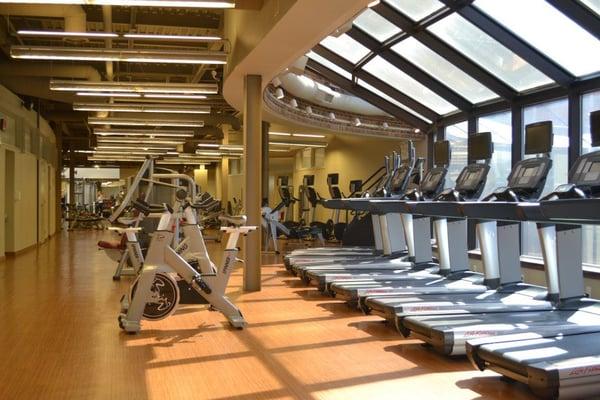 Brand new Cybex, Life Fitness, and Hammer Strength weight and cardio machines