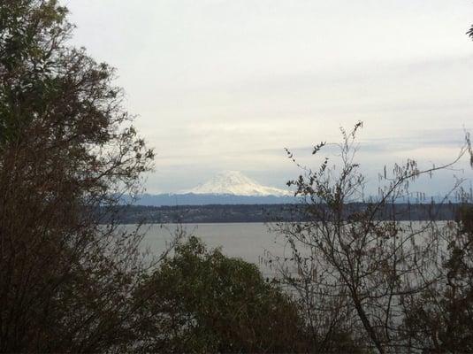 Mt Rainier in the distance