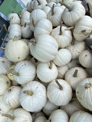 White pumpkins. They also have gourds.