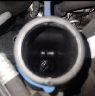 Empty washer fluid reservoir, but they charge me the Mercedes-Benz concentrated fluid.