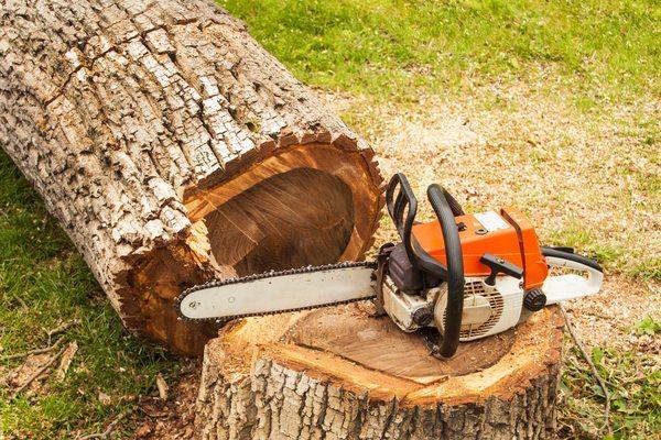 Stump Grinding