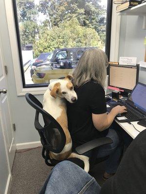 Our administrative assistant had to share the seat with Pluto :)