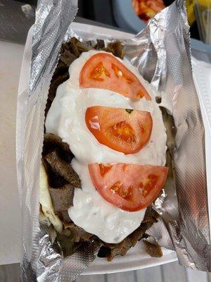 The Gyro Plate