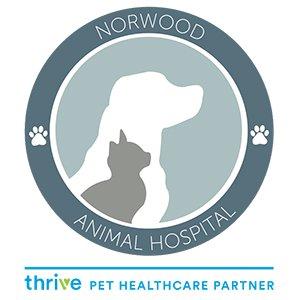 Norwood Animal Hospital