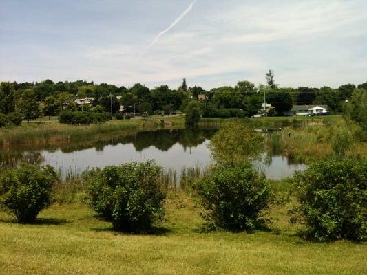 Meadowbrook retention basin