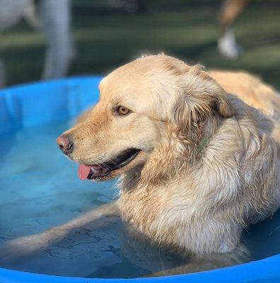 Pools, fans, and canopies come in handy when it starts getting warm outside!