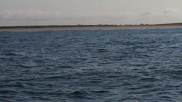 One of the beaches at Robert Moses Park