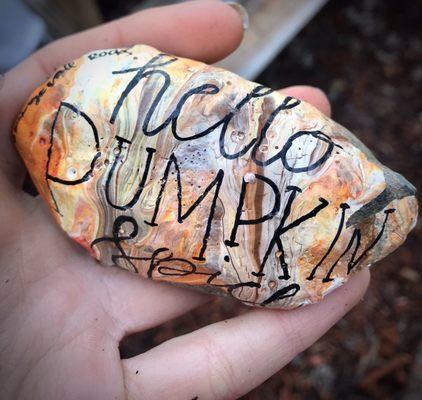 Rock I took home from their Rock Garden, cuz we'll you know lol! @orangevalerocks on Instagram