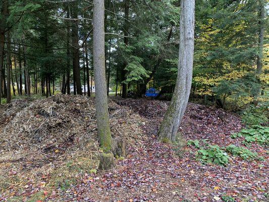 Tent set up at site in woods