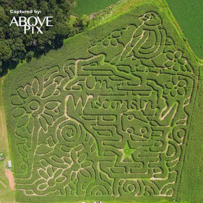 2022 Corn Maze: On, Wisconsin!
Photo credit: Above Pix