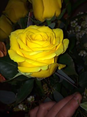 Yellow roses for Valentines Day 2015!