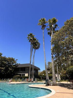 Beautiful day at the main pool!