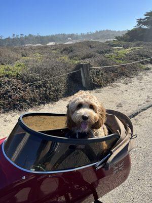 Last stop at Seal Rock