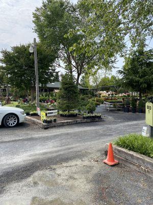 Wintergreen Landscape Nursery