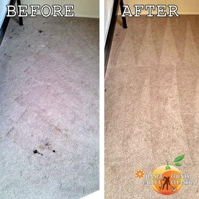 Orange County Carpet Cleaners - Huntington Beach Carpet Cleaners - Newport Beach Carpet Cleaners - Fountain Valley Carpet Clean