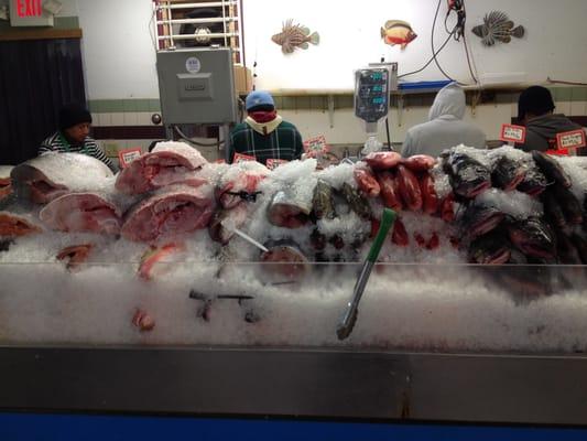 About 10 different kinds of fresh fish on ice. Average $5/lb.