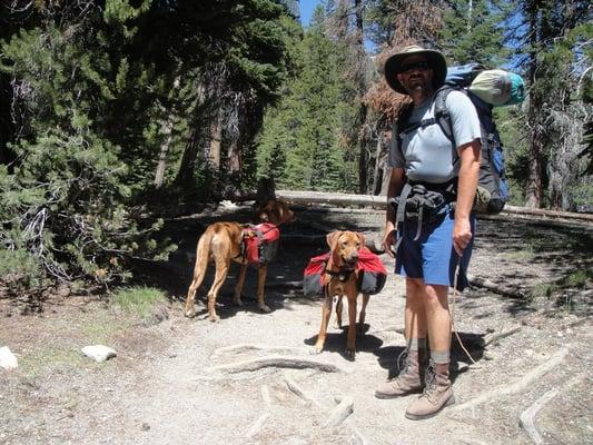 Zuma and Mazu. Dogs I met on the trail.