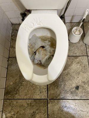 Clogged toilet