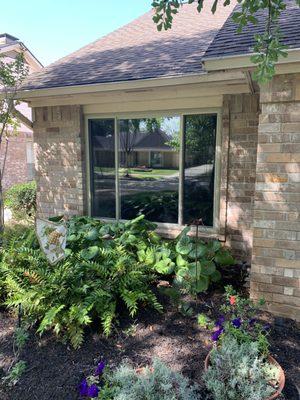 Dining Room Window from the outside.