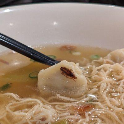 Wonton with crunchy cockroach bits.