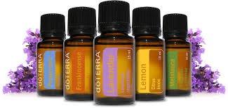 We love our doTerra essential oils!