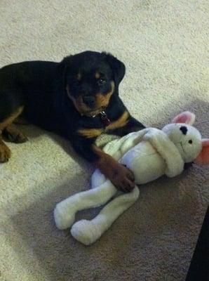 She loves her mouse doll!