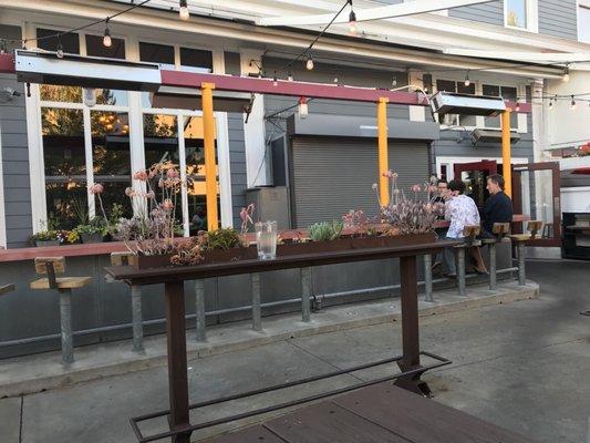 Cute patio with succulents