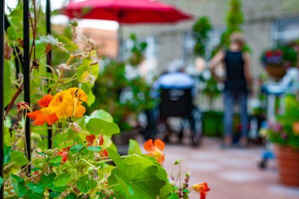 Outdoor patio at Marquis Mt. Tabor